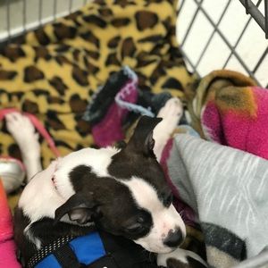 Meet your Posher, Joanne